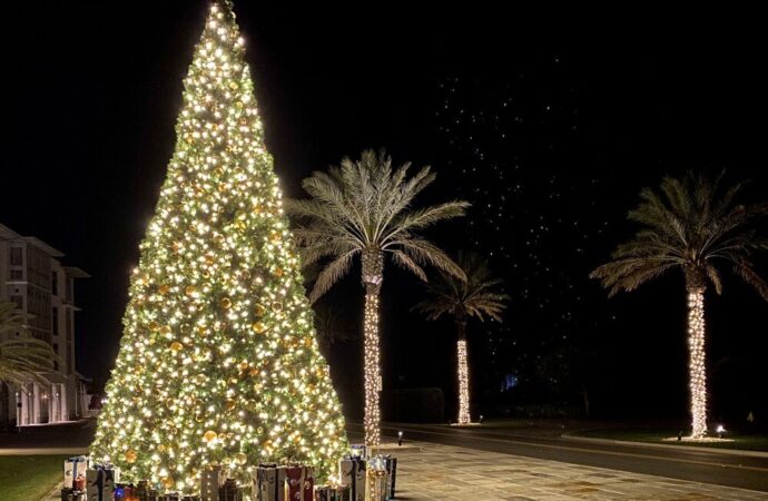 Christmas lighting Services-Hardscape Contractors of Boca Raton