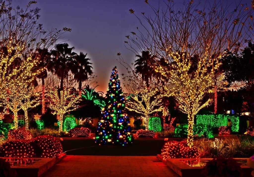 Holiday lighting Services-Hardscape Contractors of Boca Raton