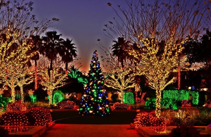 Holiday lighting Services-Hardscape Contractors of Boca Raton