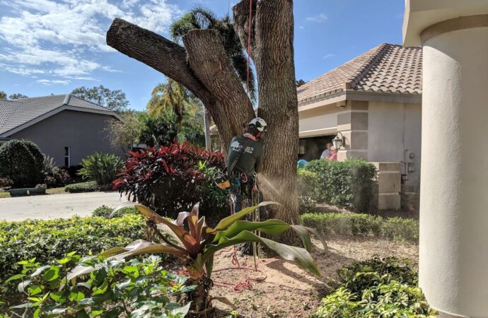 Tree Service Experts-Hardscape Contractors of Boca Raton